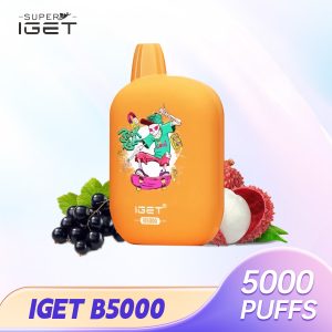 IGet B5000 Puffs